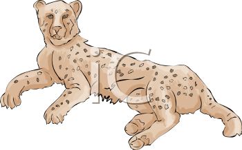 Cheetah Clipart