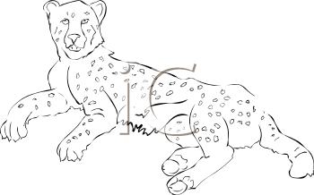 Cheetah Clipart