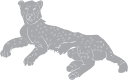 Cheetah Clipart