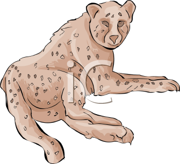 Cheetah Clipart