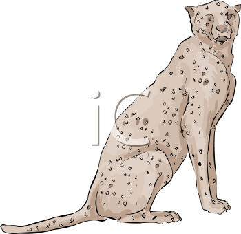 Cheetah Clipart