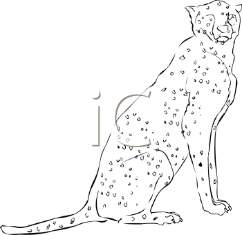 Cheetah Clipart