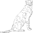 Cheetah Clipart