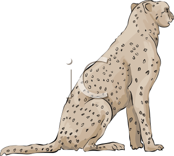 Cheetah Clipart