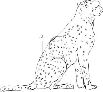 Cheetah Clipart