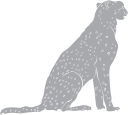 Cheetah Clipart