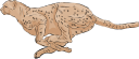 Cheetah Clipart