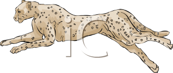 Cheetah Clipart