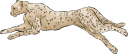 Cheetah Clipart