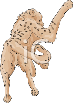 Cheetah Clipart