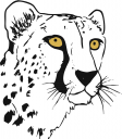 Cheetah Clipart