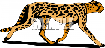 Cheetah Clipart