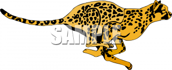 Cheetah Clipart