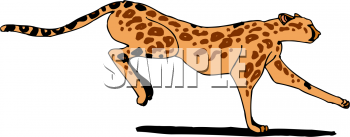 Cheetah Clipart