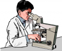 Lab Clipart