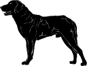 Dog Clipart