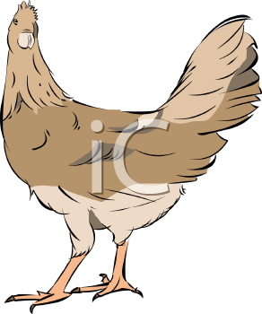 Chicken Clipart