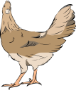 Chicken Clipart