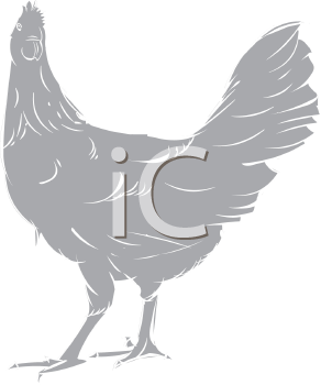 Chicken Clipart