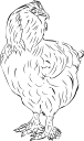 Chicken Clipart