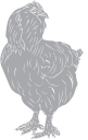 Chicken Clipart