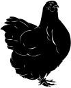 Chicken Clipart