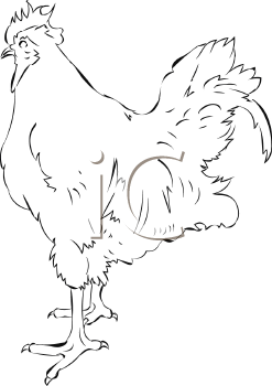 Chicken Clipart