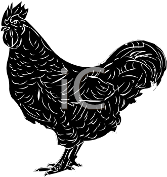 Chicken Clipart