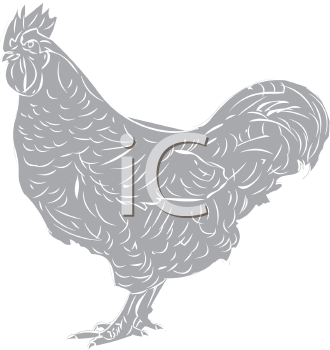 Chicken Clipart