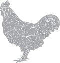 Chicken Clipart