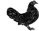 Chicken Clipart