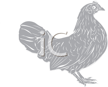 Chicken Clipart