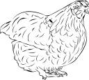 Chicken Clipart