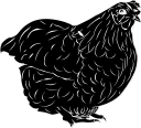 Chicken Clipart