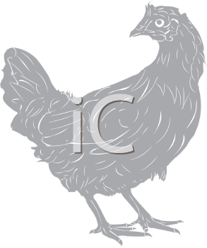 Chicken Clipart