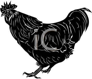 Chicken Clipart