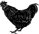 Chicken Clipart