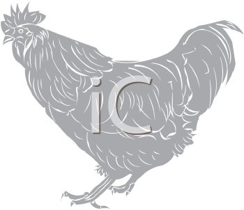 Chicken Clipart