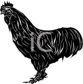 Chicken Clipart