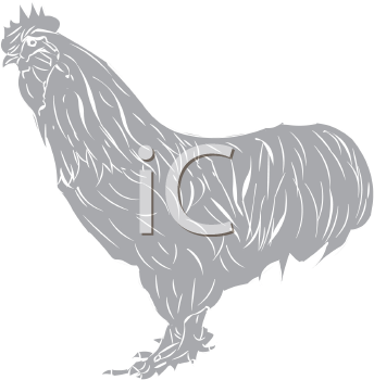 Chicken Clipart