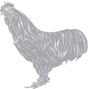 Chicken Clipart