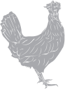 Chicken Clipart