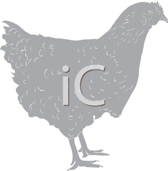 Chicken Clipart