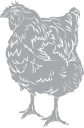 Chicken Clipart