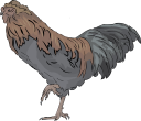 Chicken Clipart