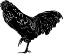 Chicken Clipart