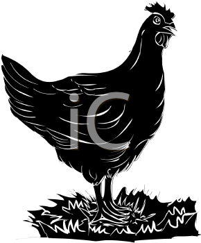 Chicken Clipart