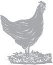 Chicken Clipart