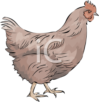 Chicken Clipart