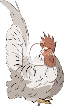 Chicken Clipart